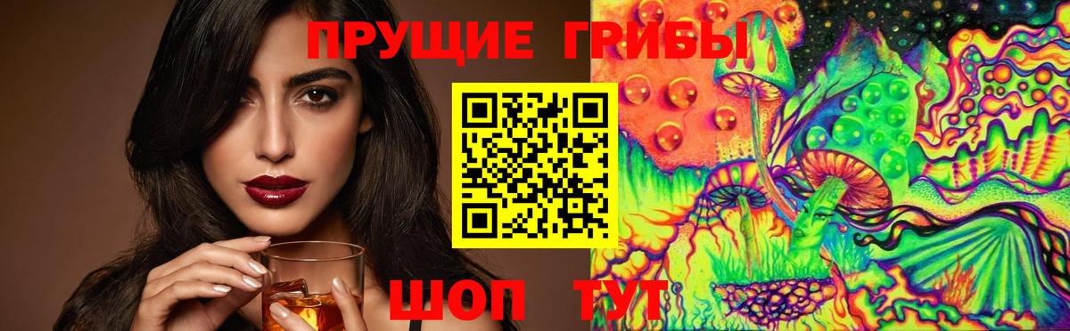 Псилоцибиновые грибы Psilocybe Серпухов